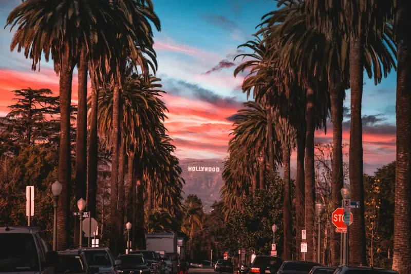 Iconic palm-lined street and golden sunset light in Beverly Hills, Los Angeles