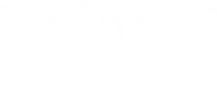 The Phone Valet